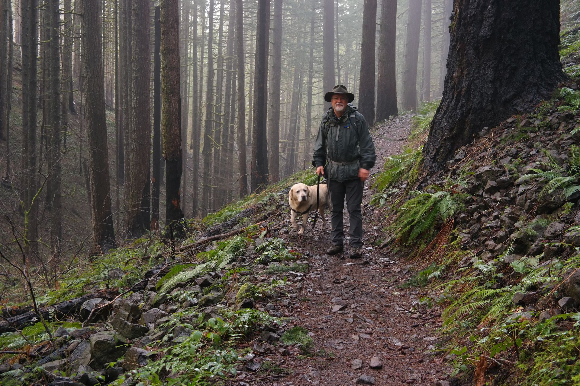 Trail to Dry Creek Falls
