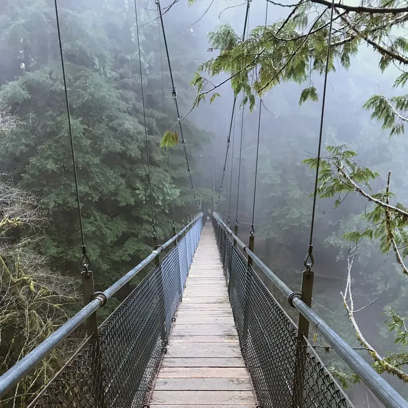 Drift Creek Suspension Bridge - Oregon