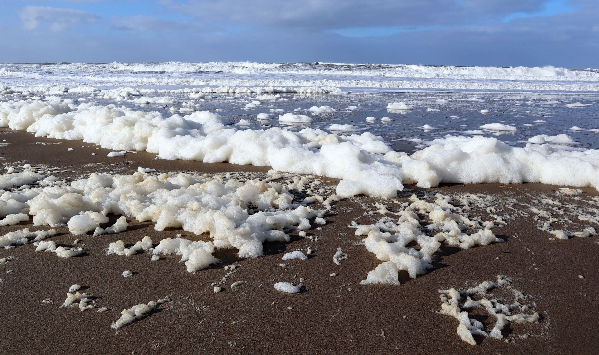 Foam after the storm.  Oregon Coast.