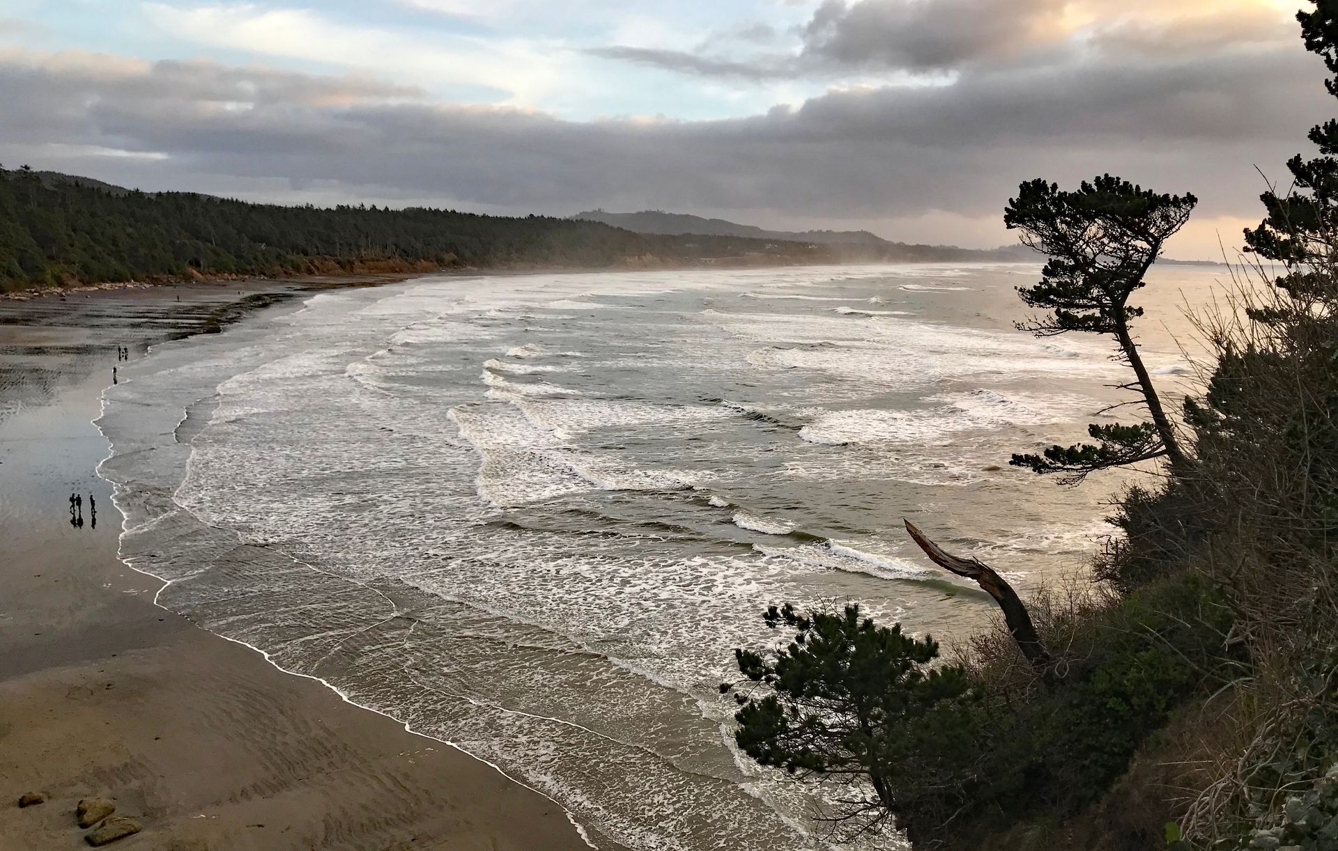 Otter Crest Beach