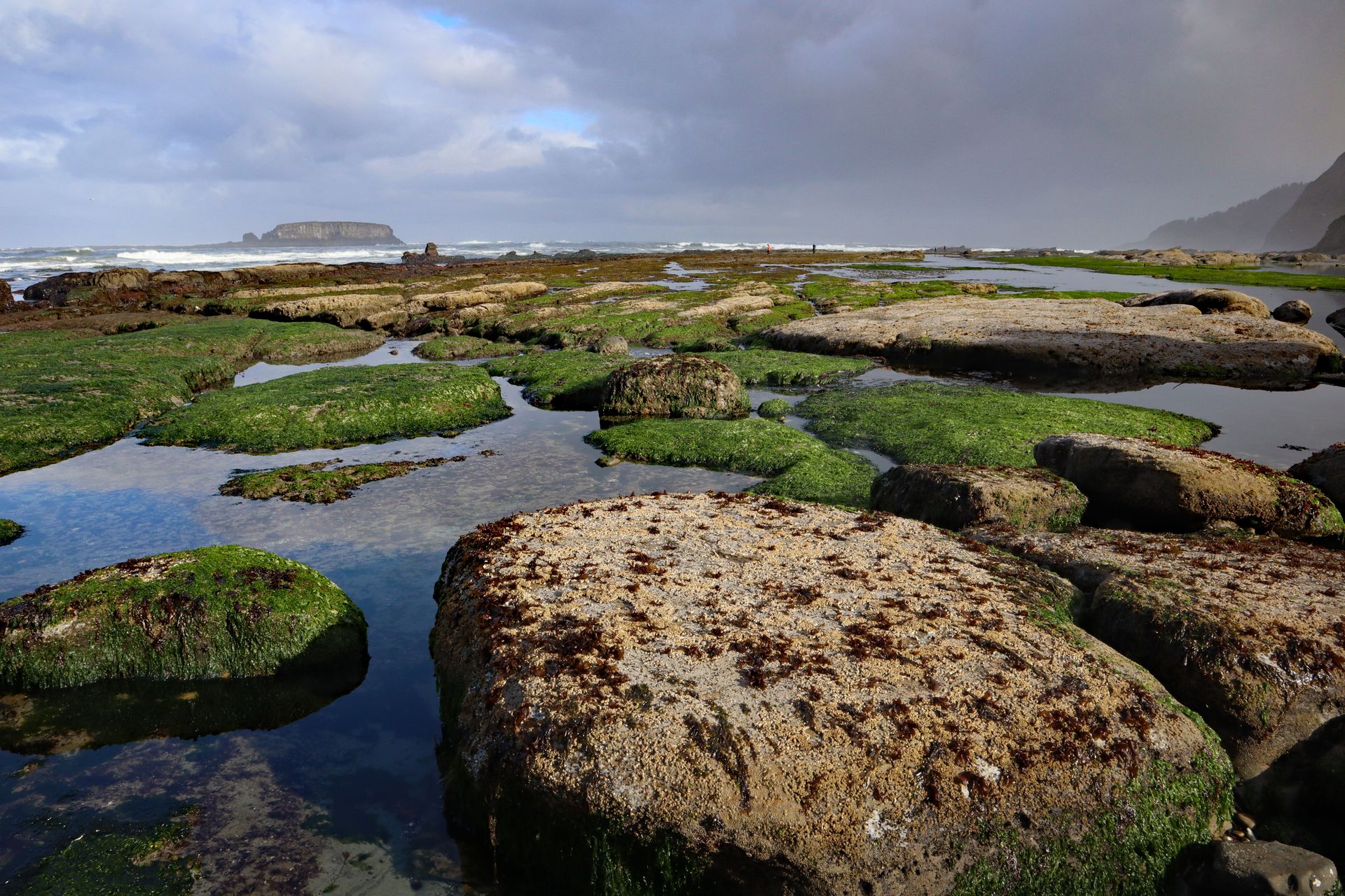 Tide pools at Otter Rock beach