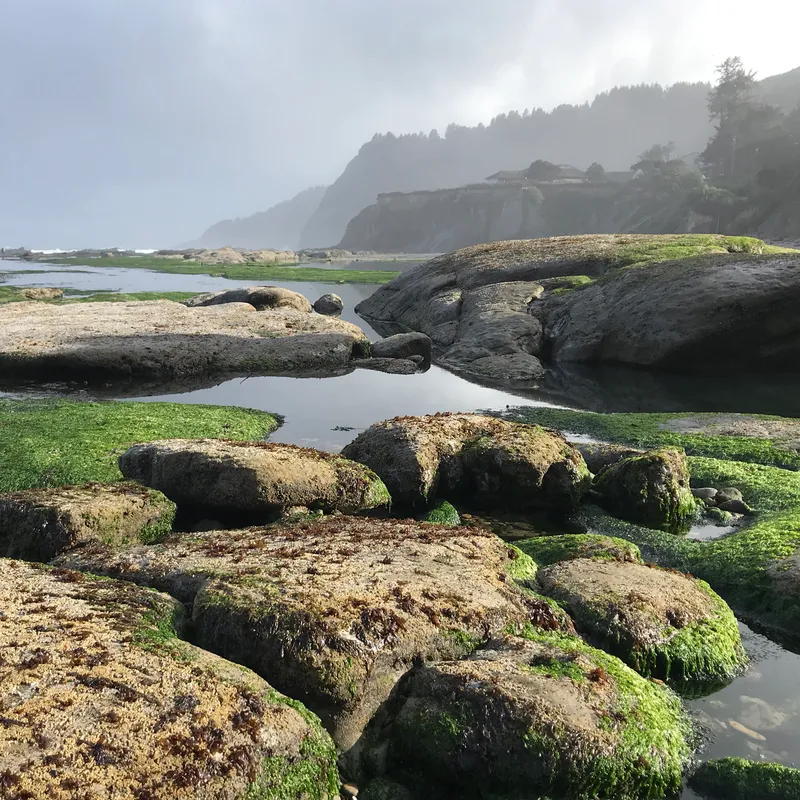 Low Tides at Otter Rock Beach - Oregon