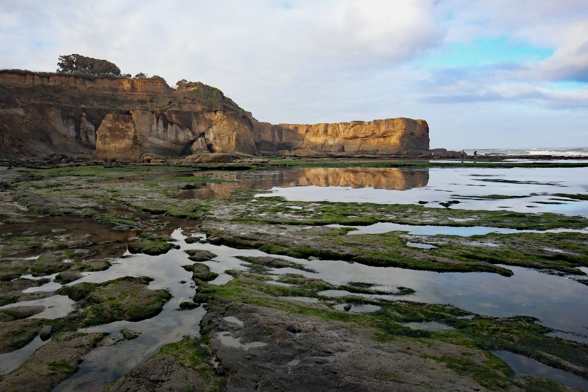Negative tides (minus 2 feet) exposing tide pools at Otter Rock beach.