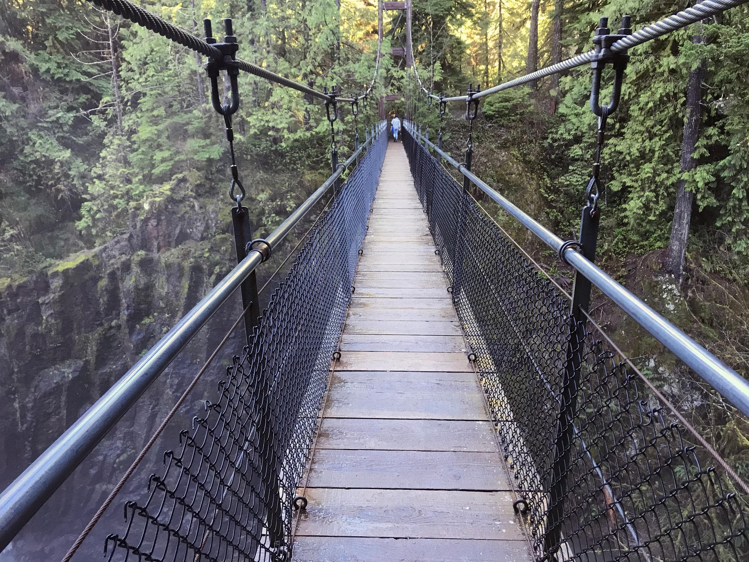 Suspension bridge over Drift Creek