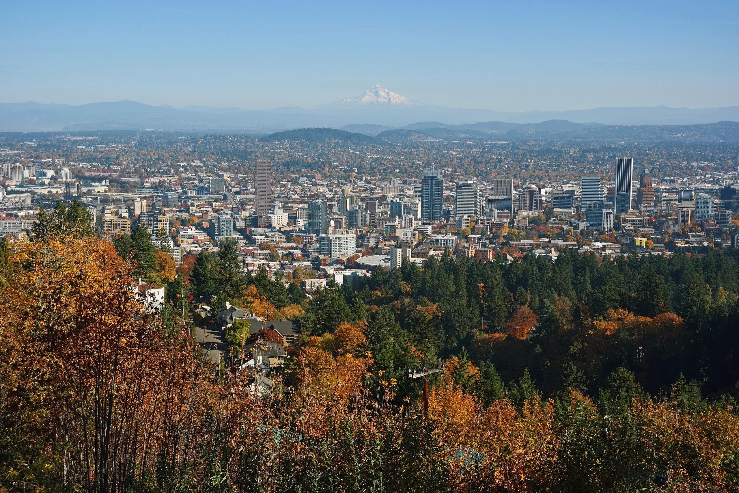 Fall view of Portland